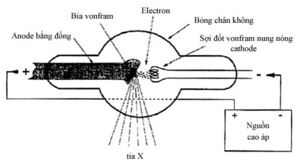 máy chụp x ray